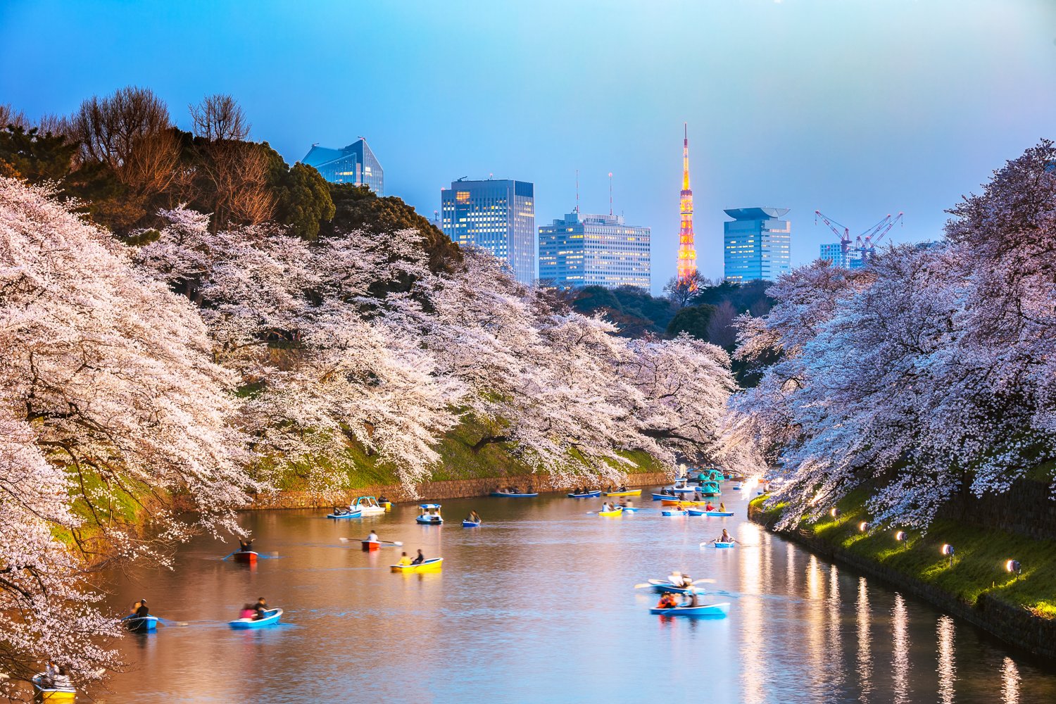 Tokyo Japan Tourist Destinations - Riset
