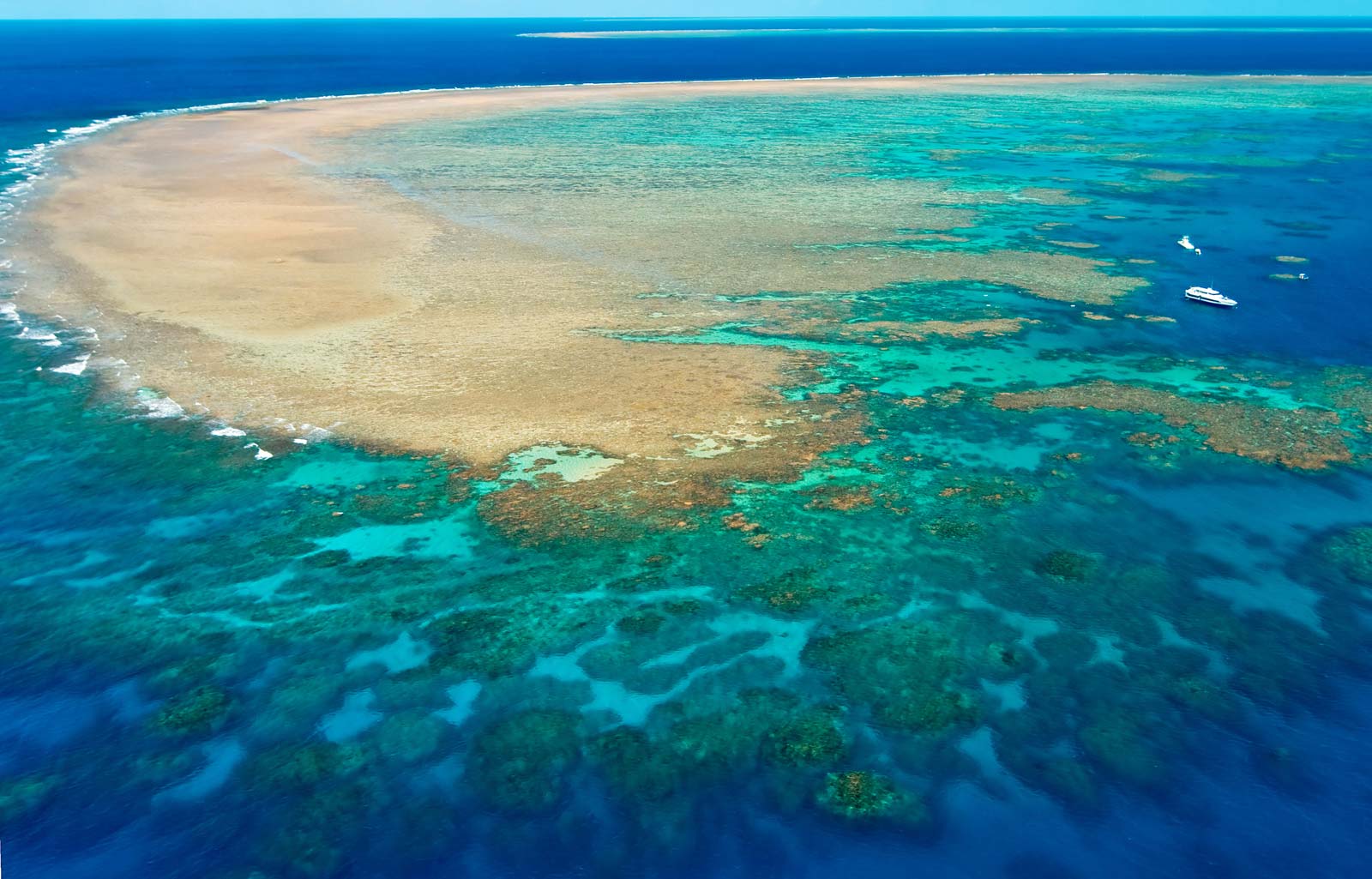 How To Get To Great Barrier Reef From Gold Coast - Printable Templates ...