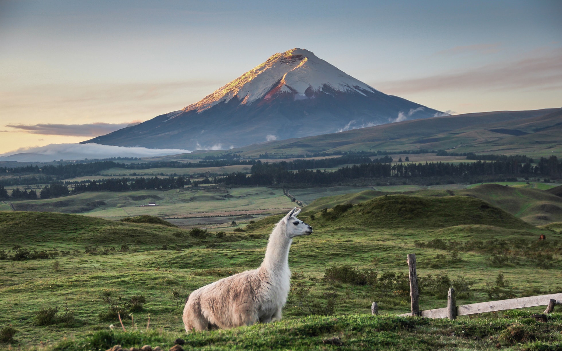 tourist destinations in ecuador