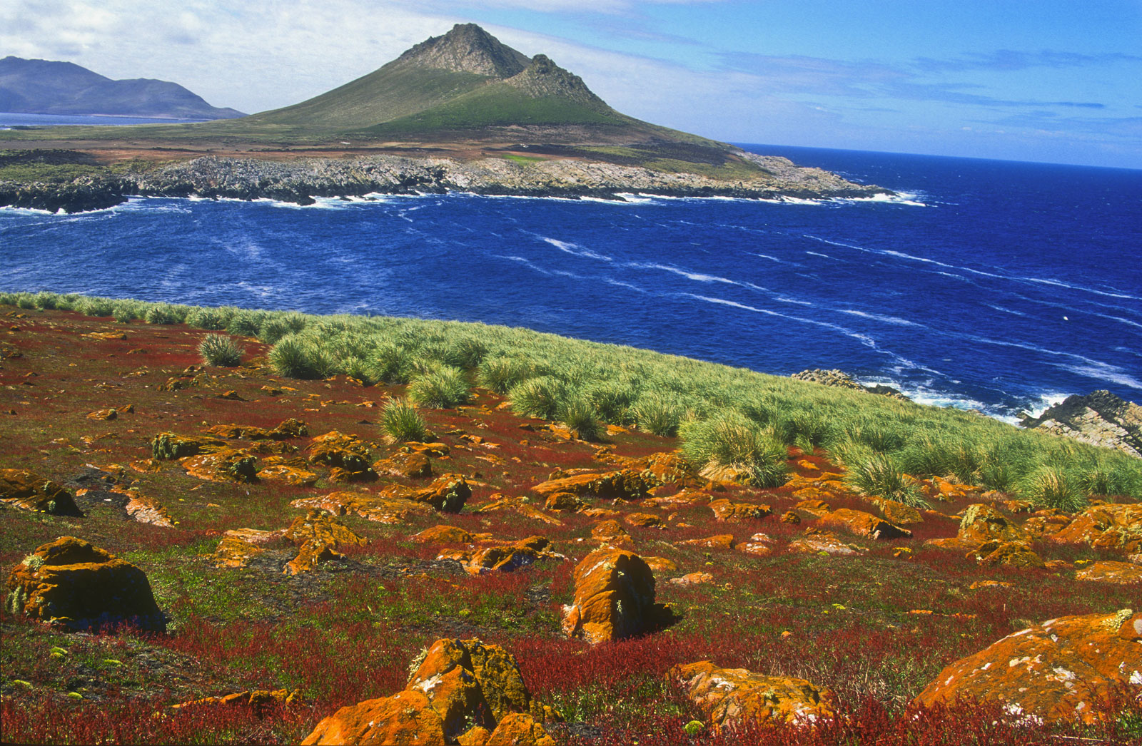 tourism falkland islands